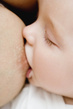 beb&ecirc; a mamar